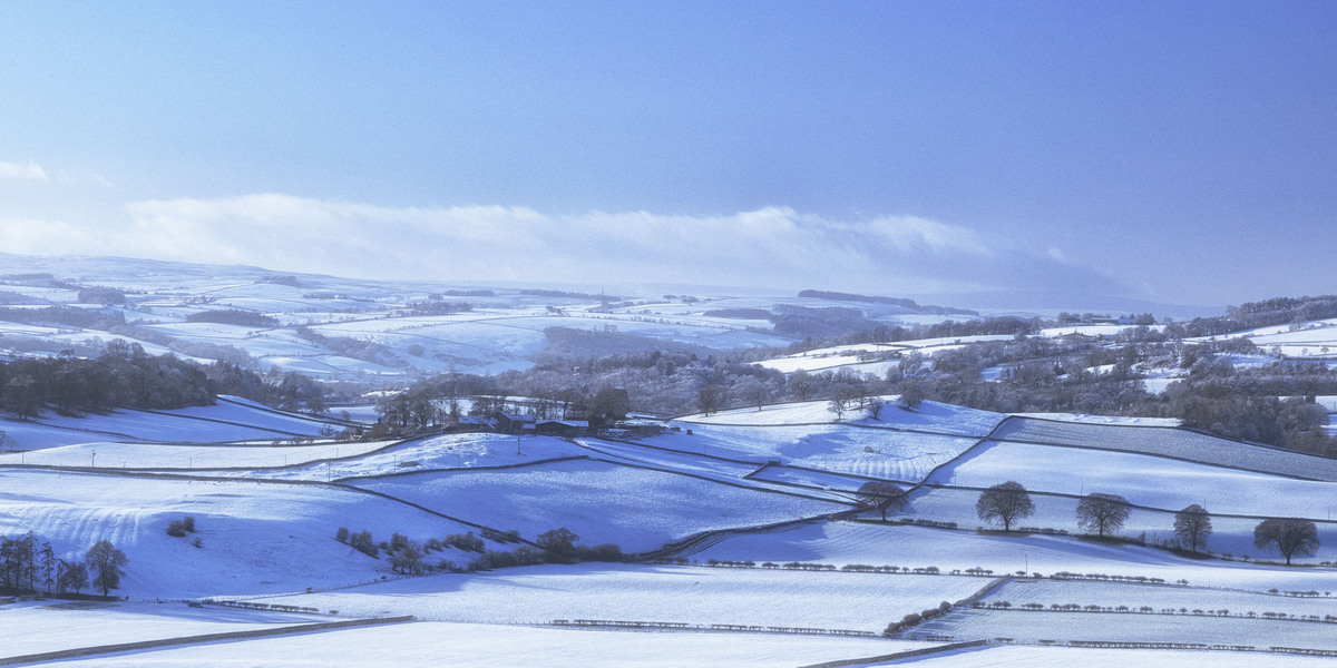 HC - Winter Landscape - Sheila Stanger